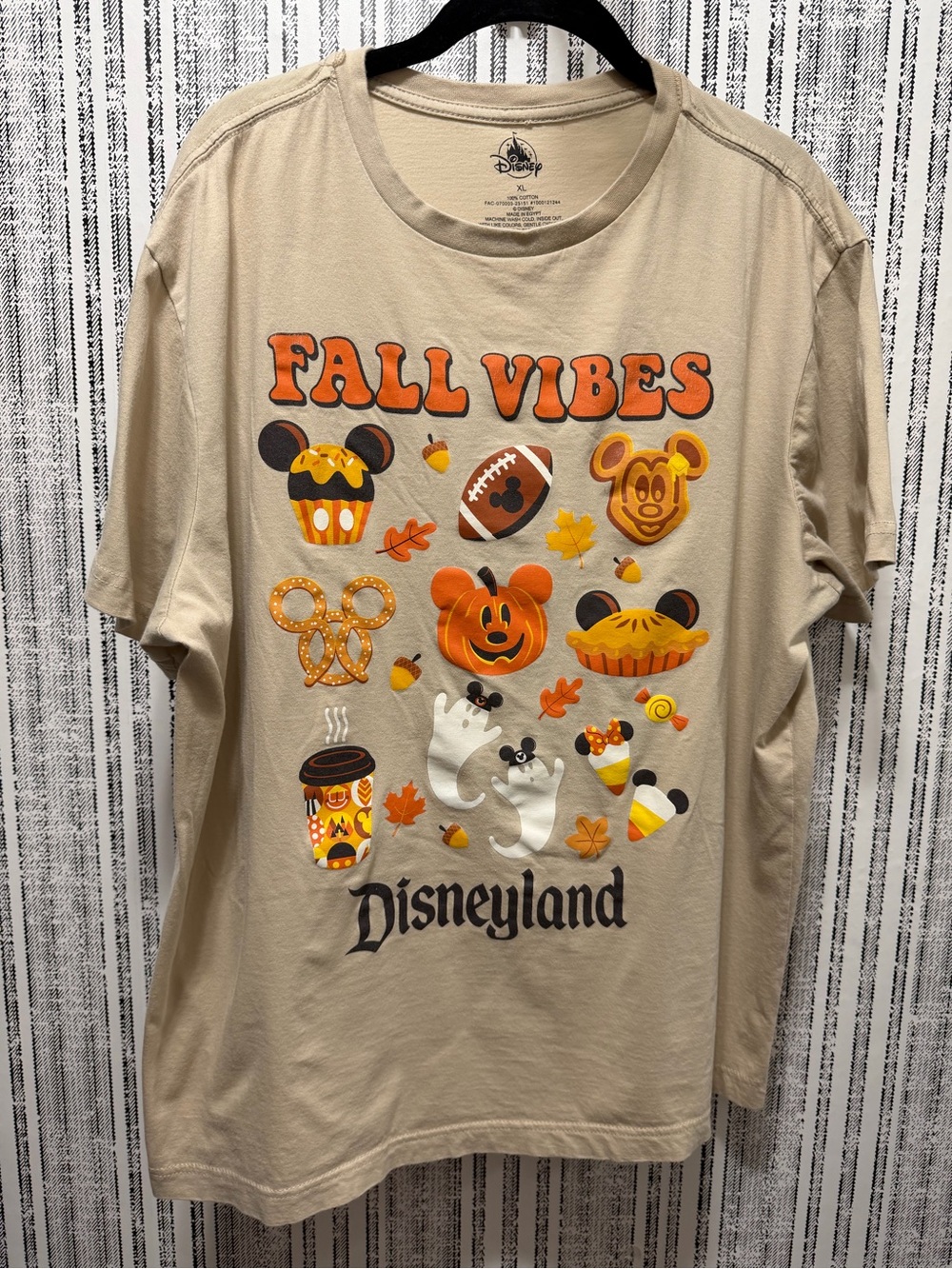 Disney / Disneyland Fall Vibes Tee Shirt WORN ONCE